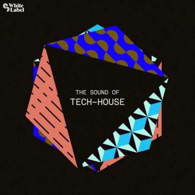  Shelter ผสานความหนักแน่นของ Tech House กับจังหวะสนุกสนานร่าเริงของ Progressive House